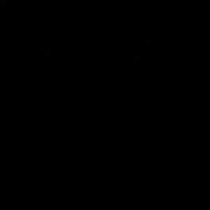 Meet your Posher, Desirae